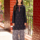 Embroidered Kameez With Shalwar (DGKS-186)