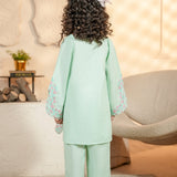 Embroidered Kameez & Trousers (GKS2-06)