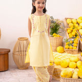 Embroidered Kameez With Trouser & Sleeves (GSK-577)