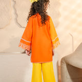 Embroidered Rangeen Kameez & Trousers (RGKS2-05)