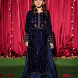 Velvet Embroidered Gown And Lehnga. (EFW-07A)