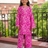 Embroidered Kameez With Trousers (DGKS-187)