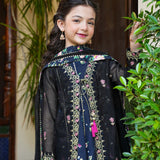 Emb Upper(Net Open Shirt)/Panel Raw Silk Frock with Flared Trouser/Dupatta (DGFS2-10)