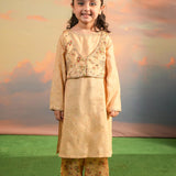 Print Embroidered Waistcoat With Embroidered Shirt And Printed Shalwar. (ESFDP-04)