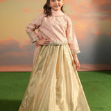 Embroidered Lehnga Choli With Dupatta. (EFW-19)