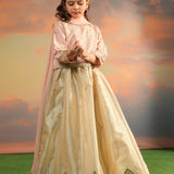 Embroidered Lehnga Choli With Dupatta. (EFW-19)