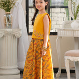 Embroidered Top With Lehenga (DGFS-14)