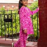 Embroidered Kameez With Trousers (DGKS-187)