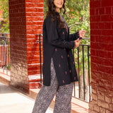 Embroidered Kameez With Shalwar (DGKS-186)