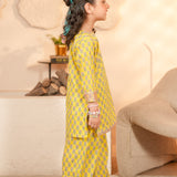 Embroidered Shirt & Trousers (DGKS-215)