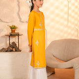 Embroidered Kameez & Trousers (GSK-618)