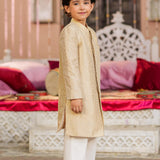 Sherwani (FBSW-36)