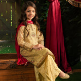 Zari Net Embroidered Kameez And Plazo Pants And Dupatta. (EFW-08)