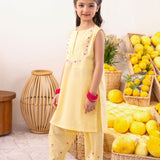 Embroidered Kameez With Trouser & Sleeves (GSK-577)