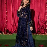 Velvet Embroidered Gown And Lehnga. (EFW-07A)