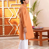 Kurta With Embroidery (MSFBSK-857)