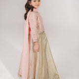 Embroidered Lehnga Choli With Dupatta. (EFW-19)