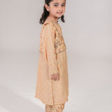 Print Embroidered Waistcoat With Embroidered Shirt And Printed Shalwar. (ESFDP-04)