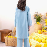 Embroidered Kameez Trousers (GSK-568)