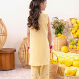 Embroidered Kameez With Trouser & Sleeves (GSK-577)