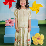 Embellished Top With Lehnga (DGFS-40)