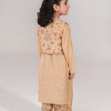 Print Embroidered Waistcoat With Embroidered Shirt And Printed Shalwar. (ESFDP-04)