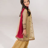 Zari Net Embroidered Kameez And Plazo Pants And Dupatta. (EFW-08)