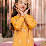 Embellished Kameez , Trousers & Dupatta (GPW-S1117)