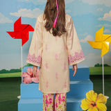 Embroidered Kameez With Trousers (DGKS-203)