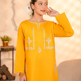 Embroidered Kameez & Trousers (GSK-618)