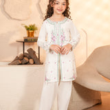 Embroidered Kameez & Trousers (GSK-611)
