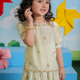 Embellished Top With Lehnga (DGFS-40)