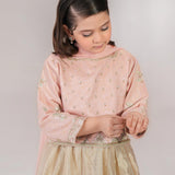 Embroidered Lehnga Choli With Dupatta. (EFW-19)