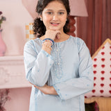 Solid Kurta And Basic Shalwar With Delicate Embroidery On Neckline, Sleeves And Shalwar Bottom. (ECGW-01)