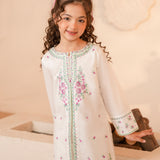 Embroidered Kameez & Trousers (GSK-611)