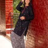 Embroidered Kameez With Shalwar (DGKS-186)