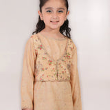 Print Embroidered Waistcoat With Embroidered Shirt And Printed Shalwar. (ESFDP-04)