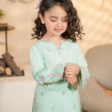 Embroidered Kameez & Trousers (GKS2-06)
