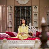 Embellished Kameez & Trousers (GPW-1115)