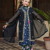 Emb Upper(Net Open Shirt)/Panel Raw Silk Frock with Flared Trouser/Dupatta (DGFS2-10)