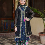 Emb Upper(Net Open Shirt)/Panel Raw Silk Frock with Flared Trouser/Dupatta (DGFS2-10)