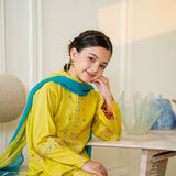 Embroidered Kameez, Trouser & Dupatta (GSK-627)