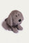 Stuff Toy (STY-1237)