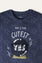 Graphic T-Shirt (GTT-050R)