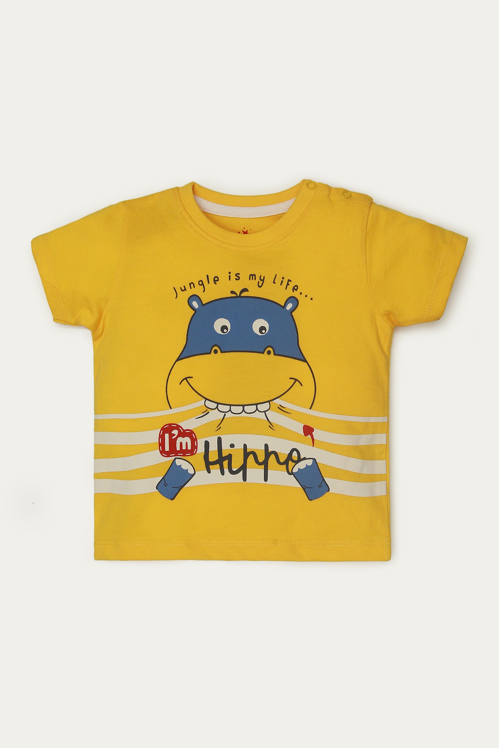 T-Shirts (Pack of 2) (IBTP-119)