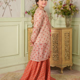 Embroidered Gown, Inner Shirt With Sharara (DGFS-57)