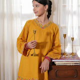 Embroidered Kurti With Trousers (RGKS-29)