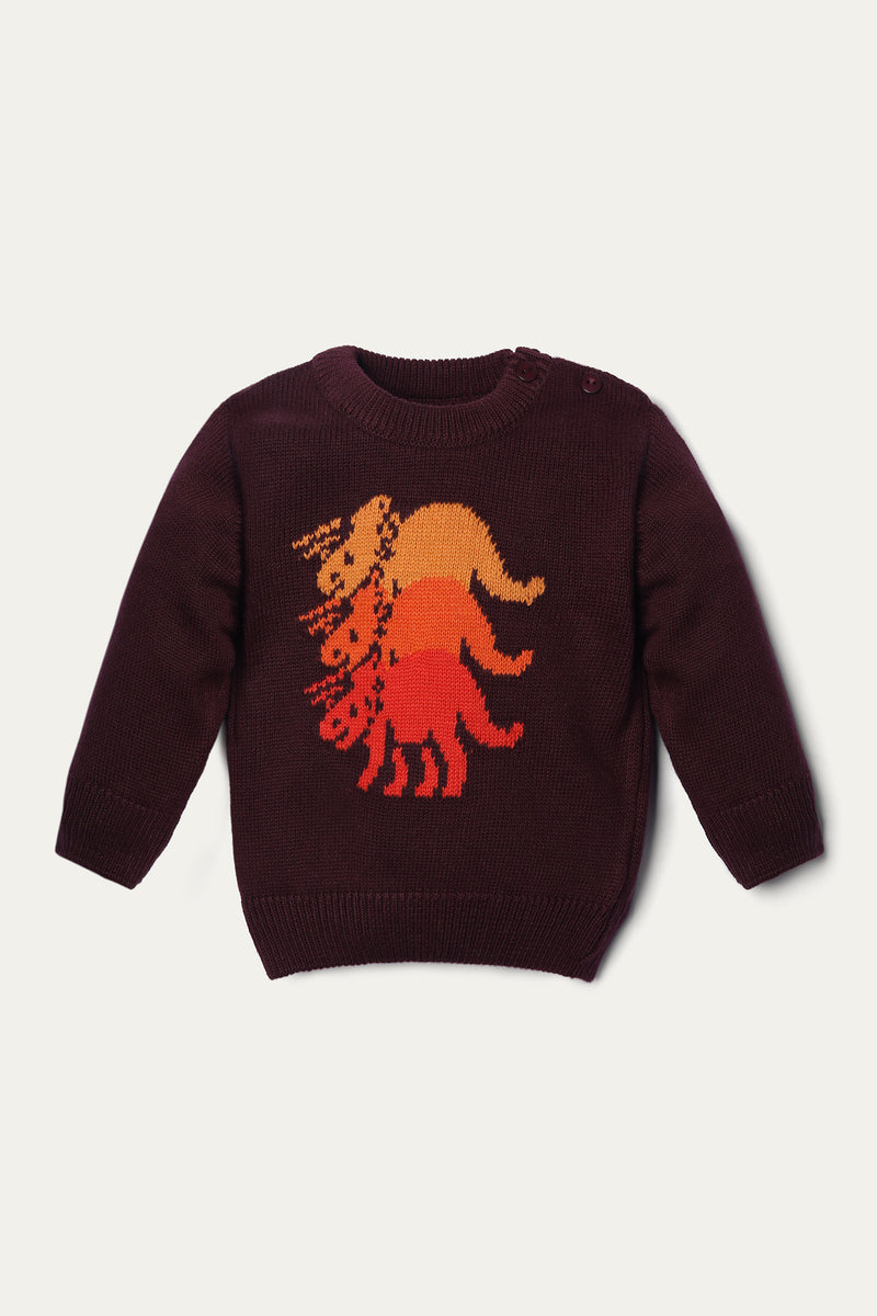 Crew Neck Sweater - Soft Cotton | Maroon - Best Kids Clothing Brands In Pakistan Online|Minnie Minors