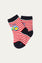 Socks (pack of 3) (SB-153R)