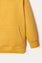 Pullover hoodie (B-HOOD-025)
